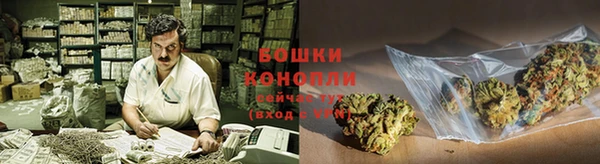 гашик Инсар