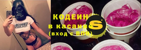 гашик Инсар