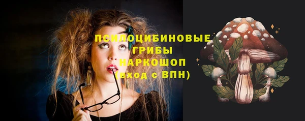 гашик Инсар