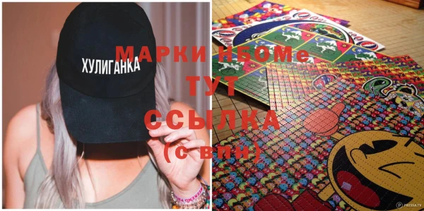 гашик Инсар