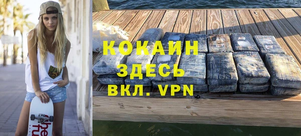 гашик Инсар