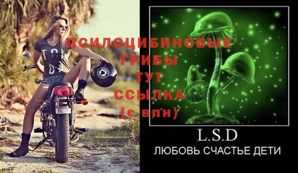 прущие крисы Инта