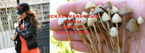 гашик Инсар