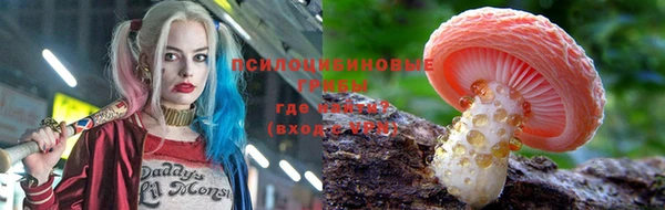 прущие крисы Инта